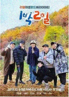 舞蹈风暴
